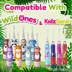 4-pack packaging image for Brush-Baby WildOnes heads