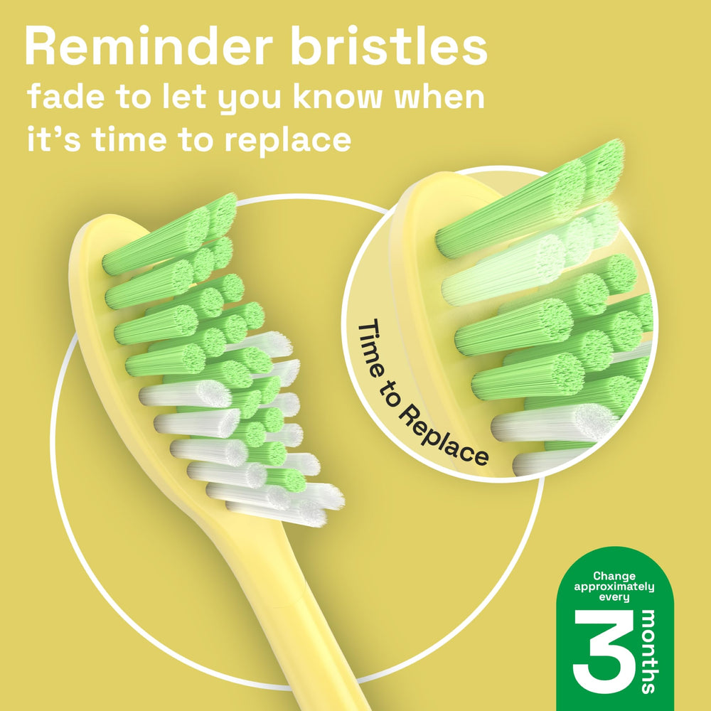 Brushmo Mango replacement heads with tongue cleaner at the back