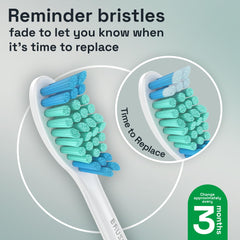 Premium BPA-free Brushmo BM618 replacement heads - durable performance