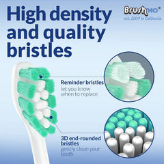 Packaging and heads display of Brushmo 10-pack for Sonicare