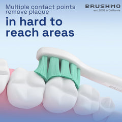 1 compact Brushmo replacement head from the 10-pack
