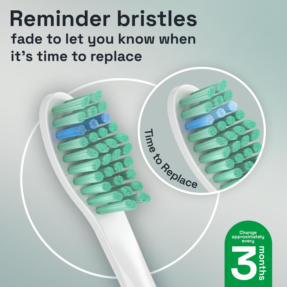 Brushmo e-Series heads compatible with Philips Sonicare screw-on handles