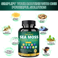 Close-up of Bualle Sea Moss ingredients including sea moss, bladderwrack and burdock