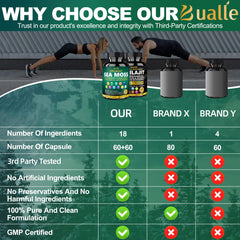 Ginger and Shilajit components display