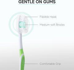 Toothbrushes in four colors: red, blue, green, and pink