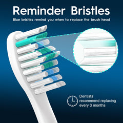 Two color rings on Bullnas replacement brush heads for family differentiation