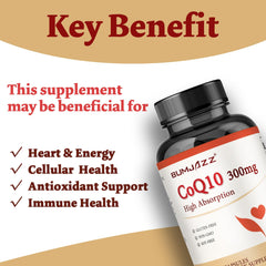 CoQ10 antioxidant support graphic