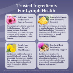 Burdock powder used in Lymph MD