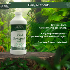 Ingredients panel for Buried Treasure Liquid Chlorophyll 100 mg