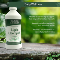Spearmint flavored Buried Treasure Liquid Chlorophyll 100 mg bottle