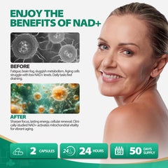 Two-piece BURMINY NAD bottle package