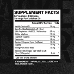 Acetyl L-Carnitine and ingredients close-up