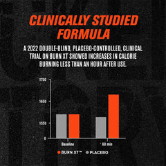 Close-up of Burn-XT capsules showing Acetyl L-Carnitine and green tea