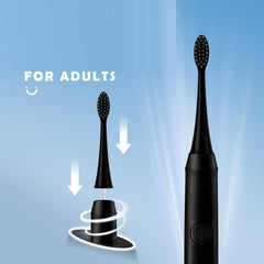 Sanitary packaging of Burst replacement heads showing dust cover and box