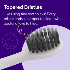 Three-pack BURST Pro replacement heads for stain and plaque removal