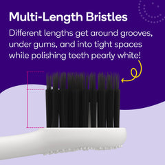 Dental-pro approved BURST Pro replacement heads