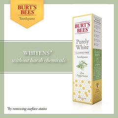 Two Burt's Bees Purely White Zen Peppermint toothpaste tubes 4.7 oz each
