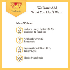 Back label of Burt's Bees Purely White toothpaste
