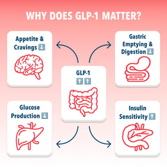 Bye-Bye Weekend Bye-Bye Carbs Beta-Glucan visual highlights proven digestive support