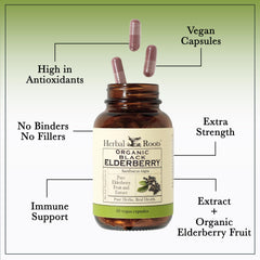cGMP-certified manufacturing facility for elderberry capsules