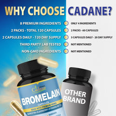 GMP and ISO certification manufacturing facility badge