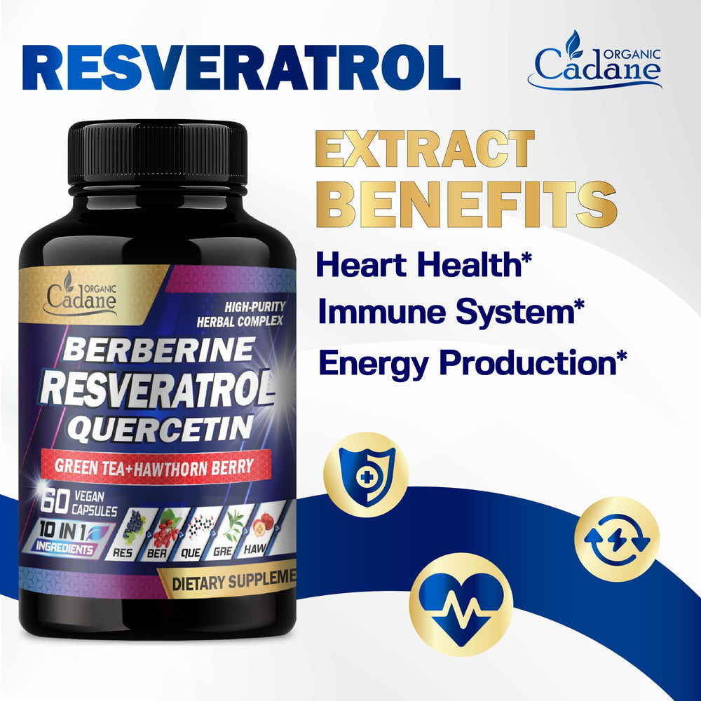 Turmeric and Rhodiola Rosea with Ginkgo Biloba