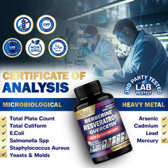 Wellness and healthy aging support graphic