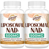 Caenciennes Liposomal NAD+ Plus bottle showing high-dose NAD+ for daily energy support