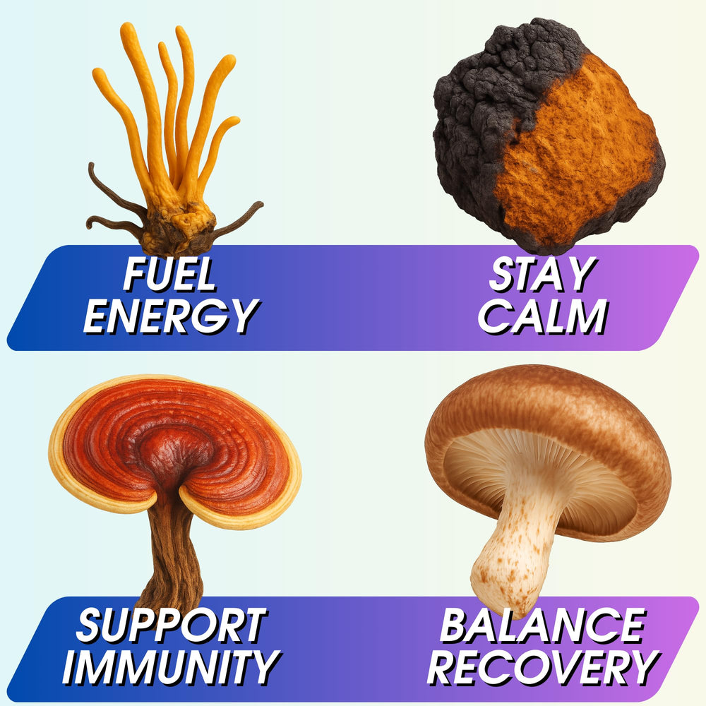 Cup representing caffeine-free nighttime mushroom drink