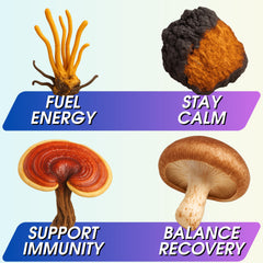 Cup representing caffeine-free nighttime mushroom drink