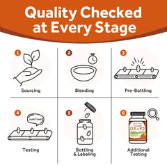 Calcium absorption diagram illustration
