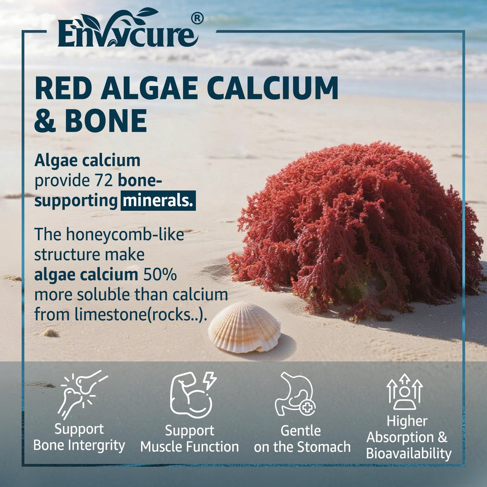 2-pack of vegan calcium gummies packaging