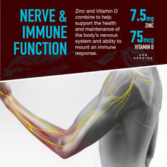Illustration highlighting bone and teeth support from minerals