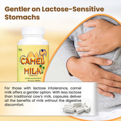 Camel milk capsules supporting balanced blood sugar