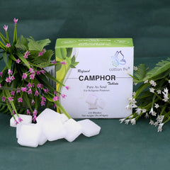 Silver items protected from tarnish by camphor blocks