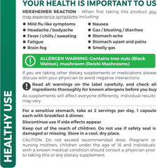 Probiotics and prebiotics for gut health illustration