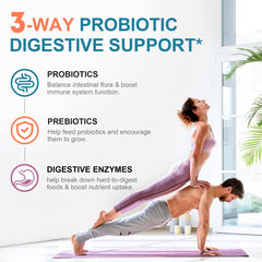 Digestive health and immune support benefits infographic