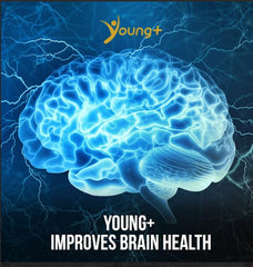 Capsules visible next to GMP-certified label