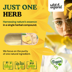 Close-up of ginger root capsules highlighting powder inside.