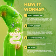 Capsules representing internal deodorant action and gut health