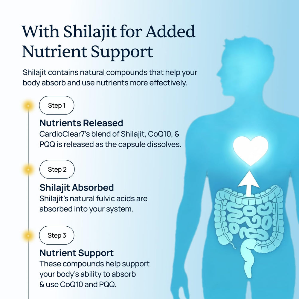 Diagram showing circulation support and cardiovascular health with CardioClear7