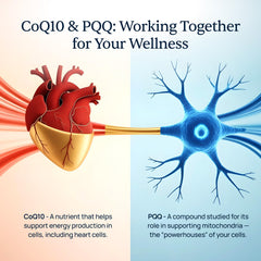 Graphic representing heart health and CardioClear7 branding