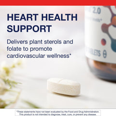 Cardiovascular health concept illustration