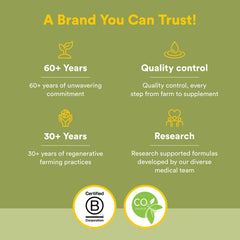 Olive leaf extract supporting cardiovascular health