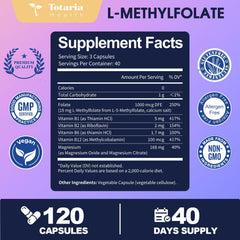 Cardiovascular support and cellular metabolism diagram