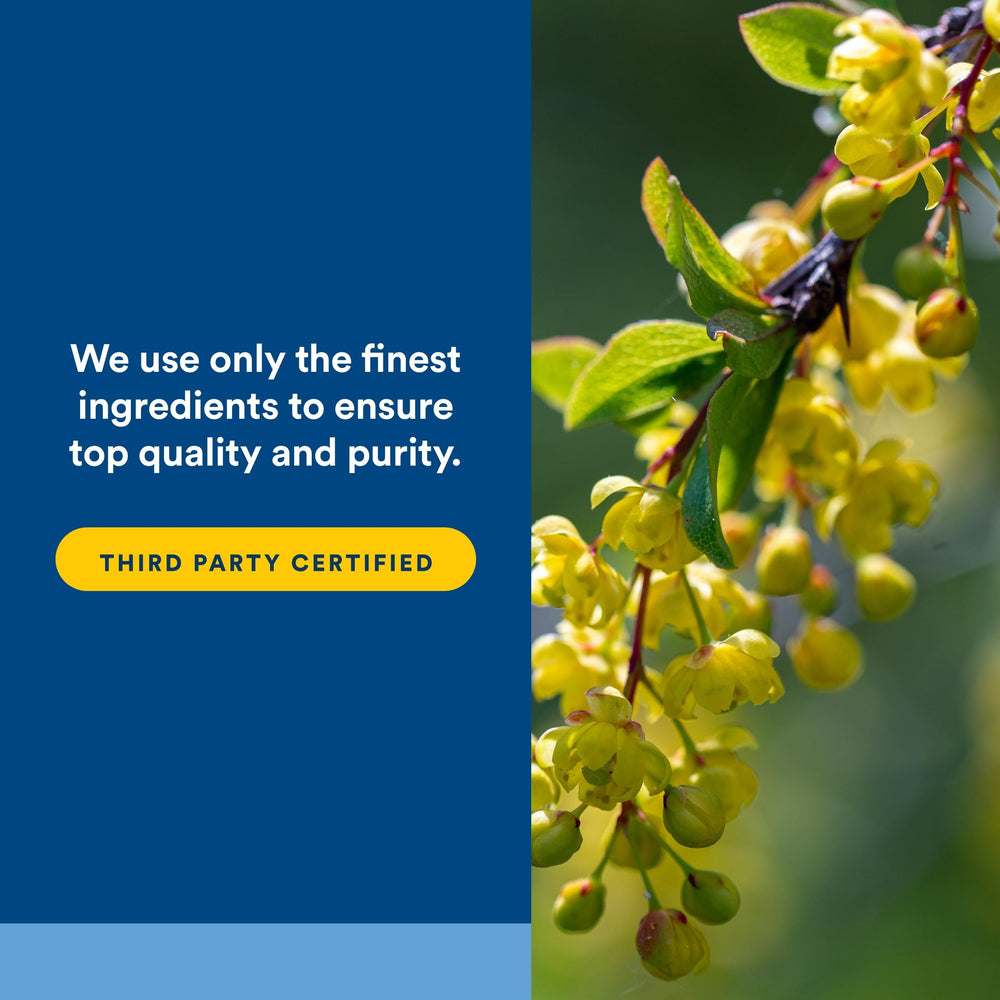 Cardiovascular support berberine for heart health
