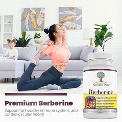 Graphic illustrating cardiovascular support from berberine