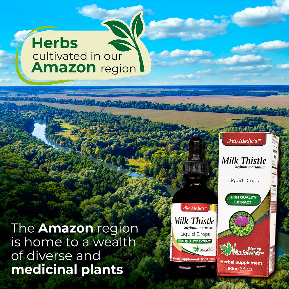 Cardo Mariano milk thistle for liver detox