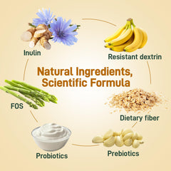 Probiotic and prebiotic synergy for gut health