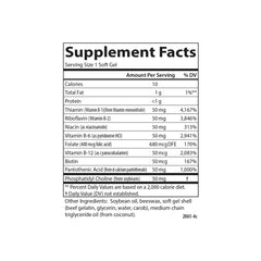 Illustration representing nervous system health and B vitamins